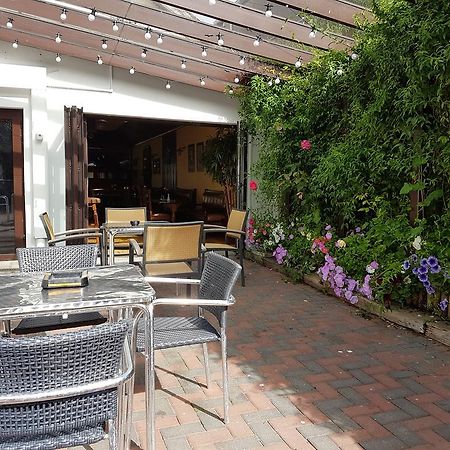Myles Creek Hotel Kilkee Buitenkant foto