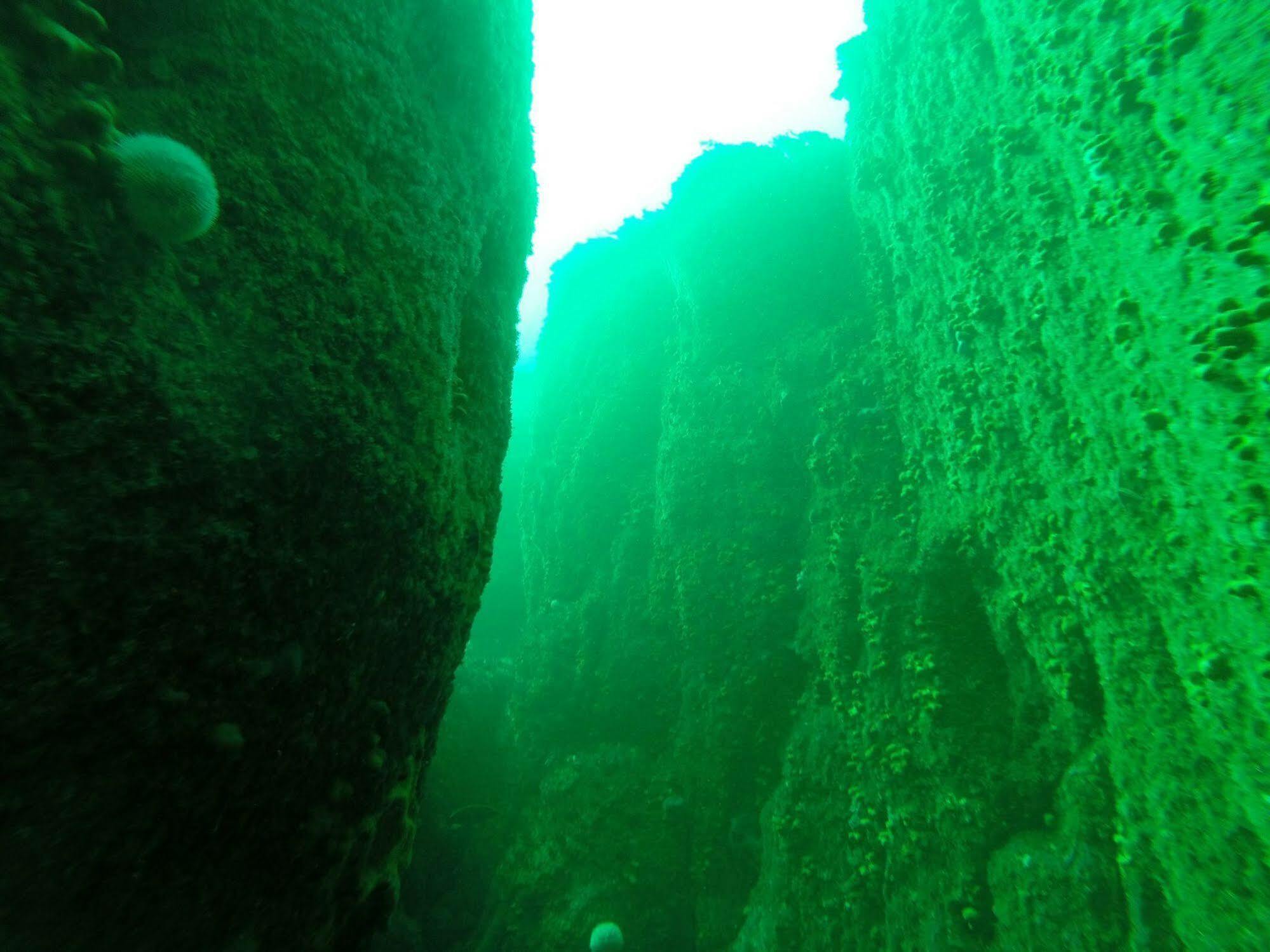 Myles Creek Hotel Kilkee Buitenkant foto